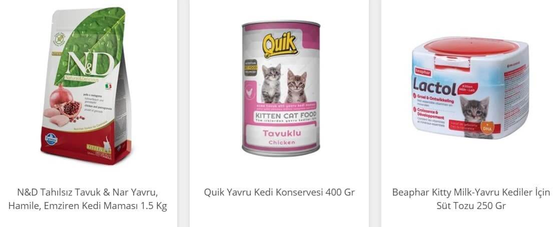 yavru kedi