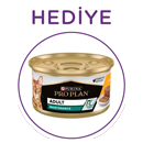 Hediye