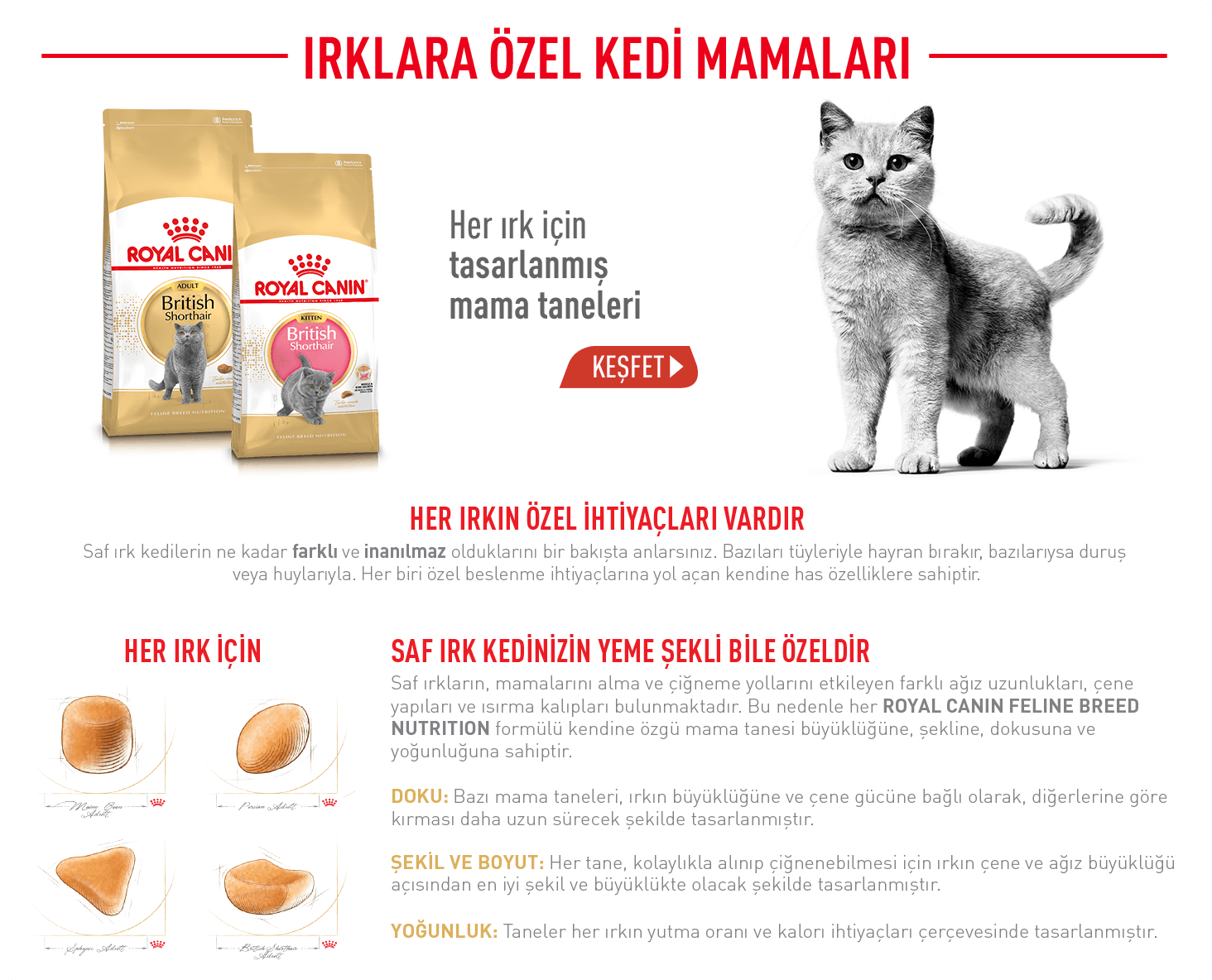 Royal Canin
