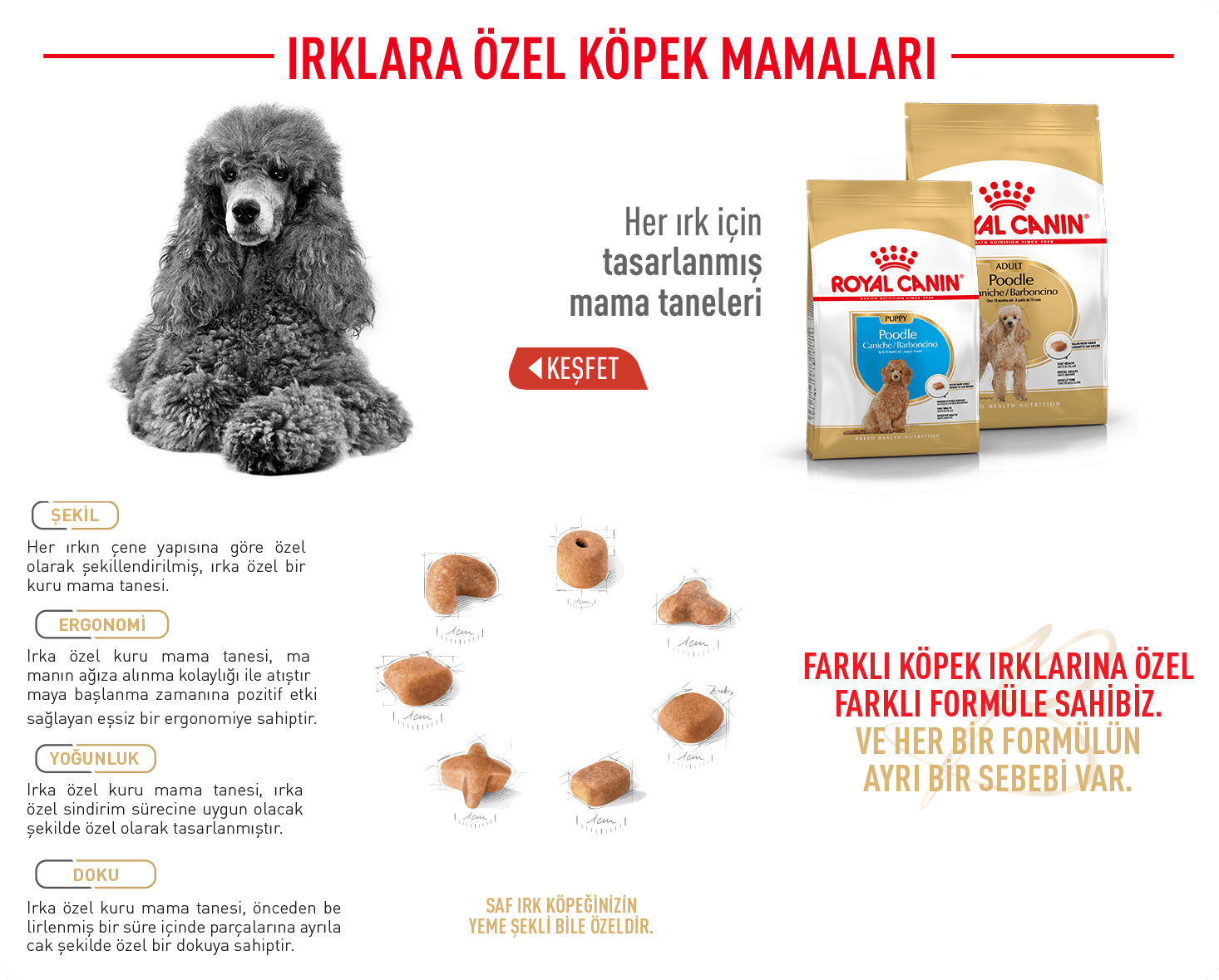 Royal Canin