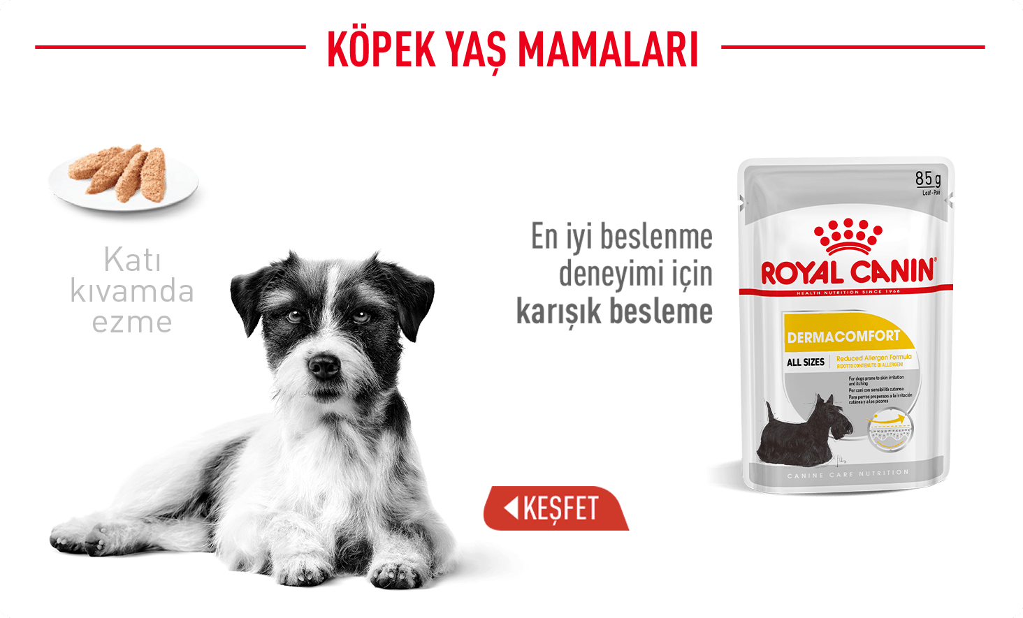 Royal Canin Köpek Yaş Mamaları