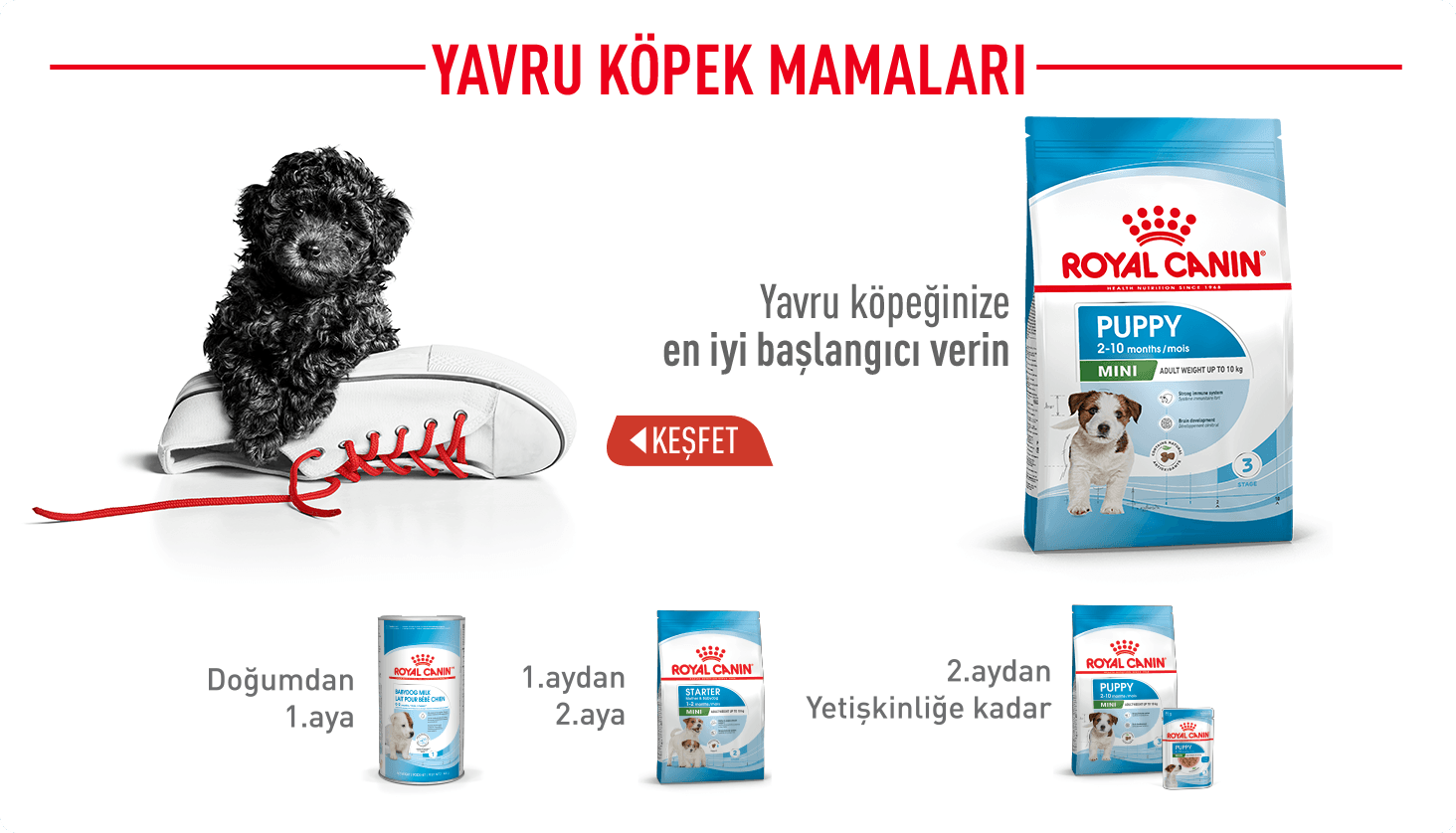 Royal Canin
