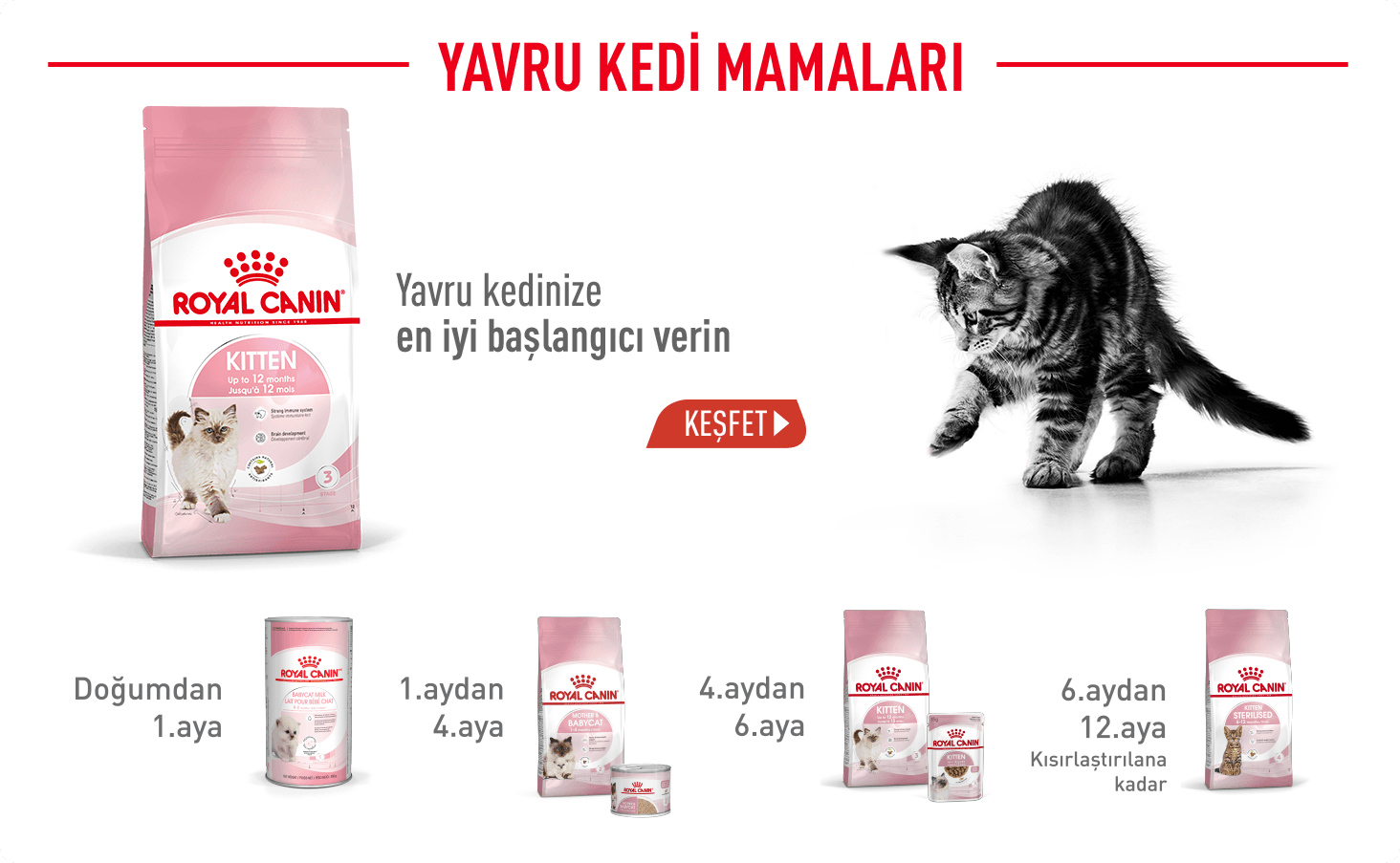 Royal Canin