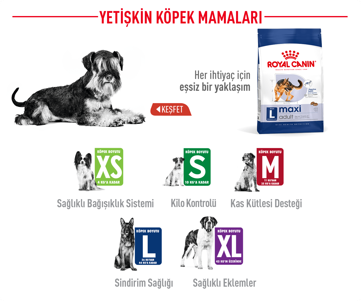 Royal Canin