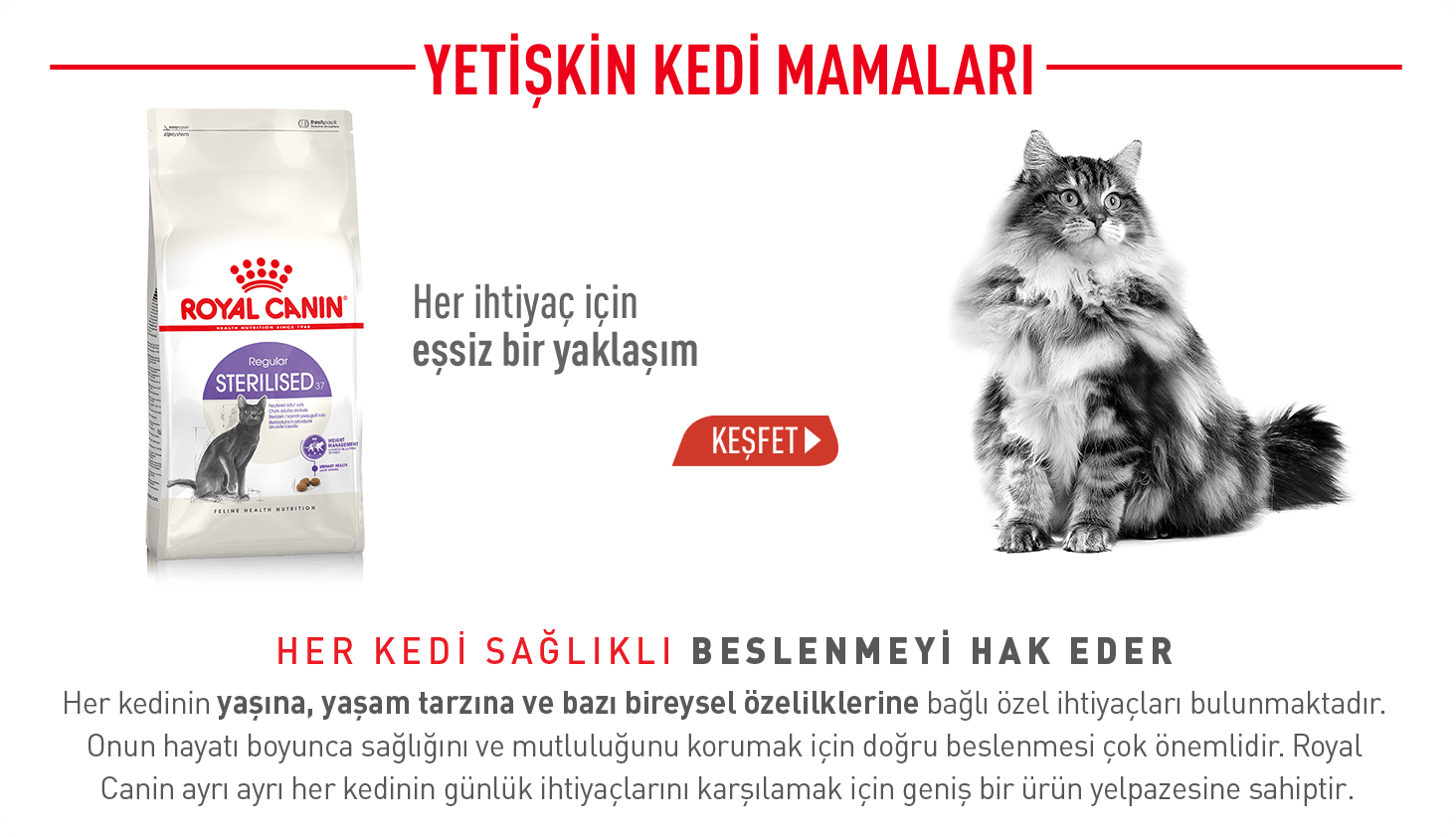 Royal Canin