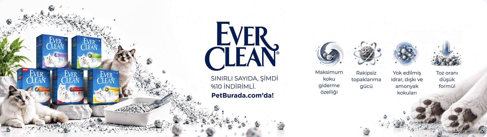Ever Clean