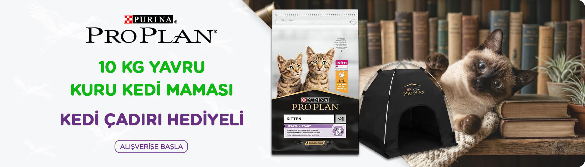 Kedi Çadırı