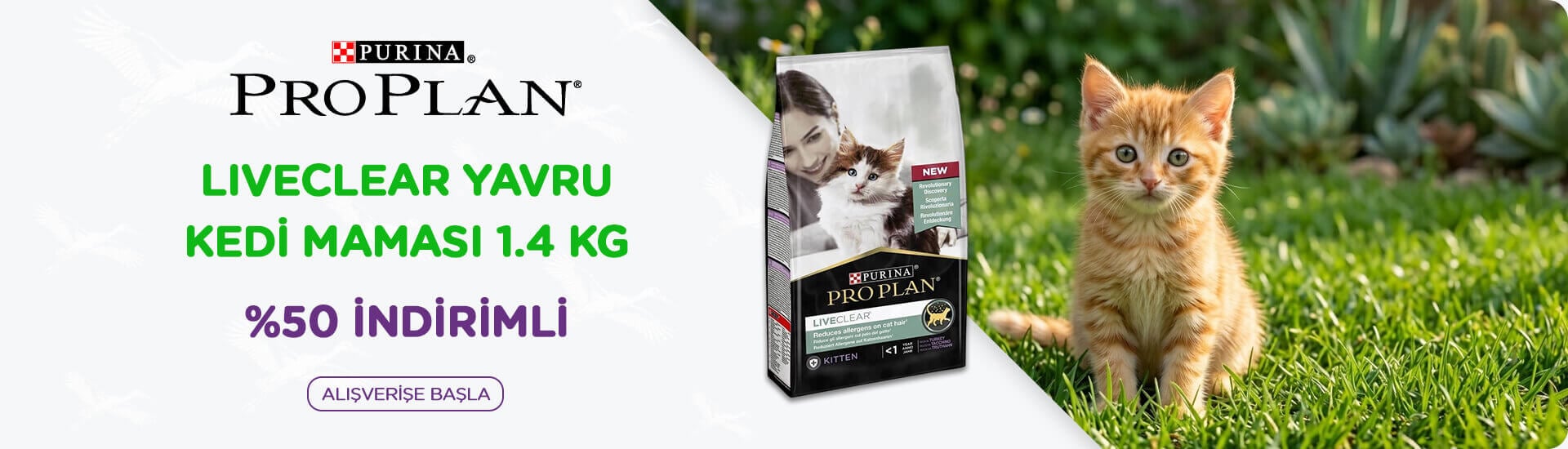 Liveclear Kitten