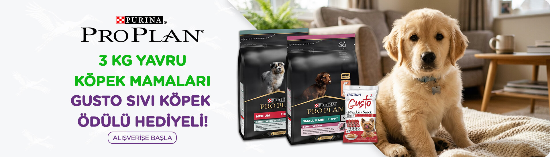 Proplan