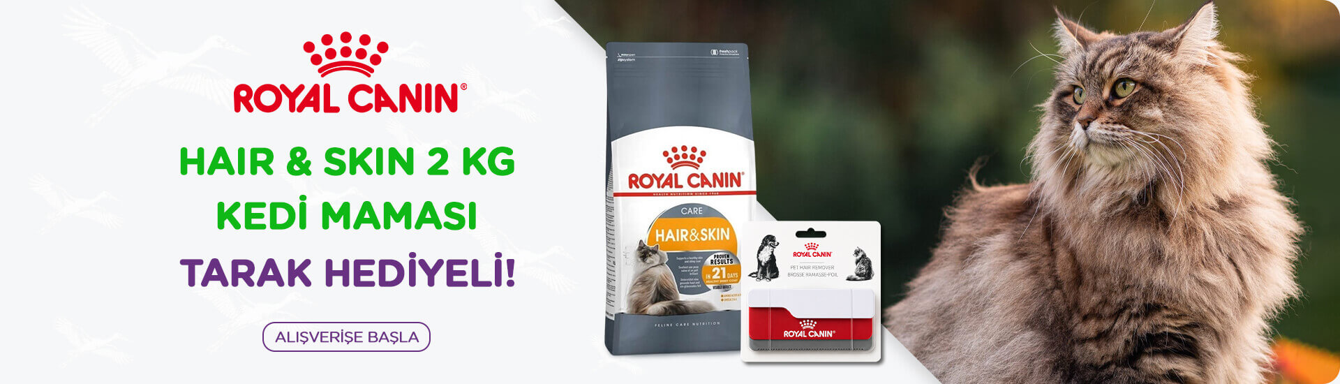 Royal Canin