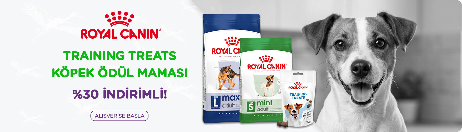 Royal Canin