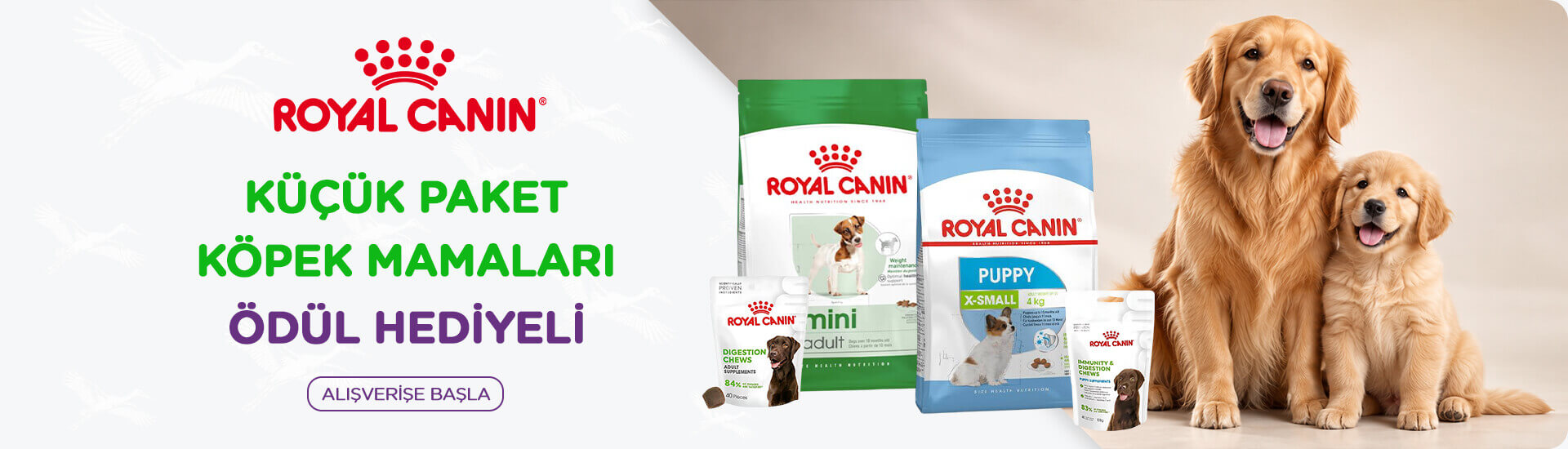 Royal Canin
