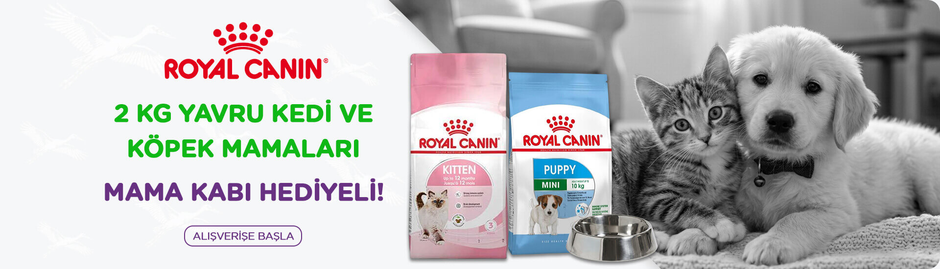 Royal Canin Kitten & Puppy
