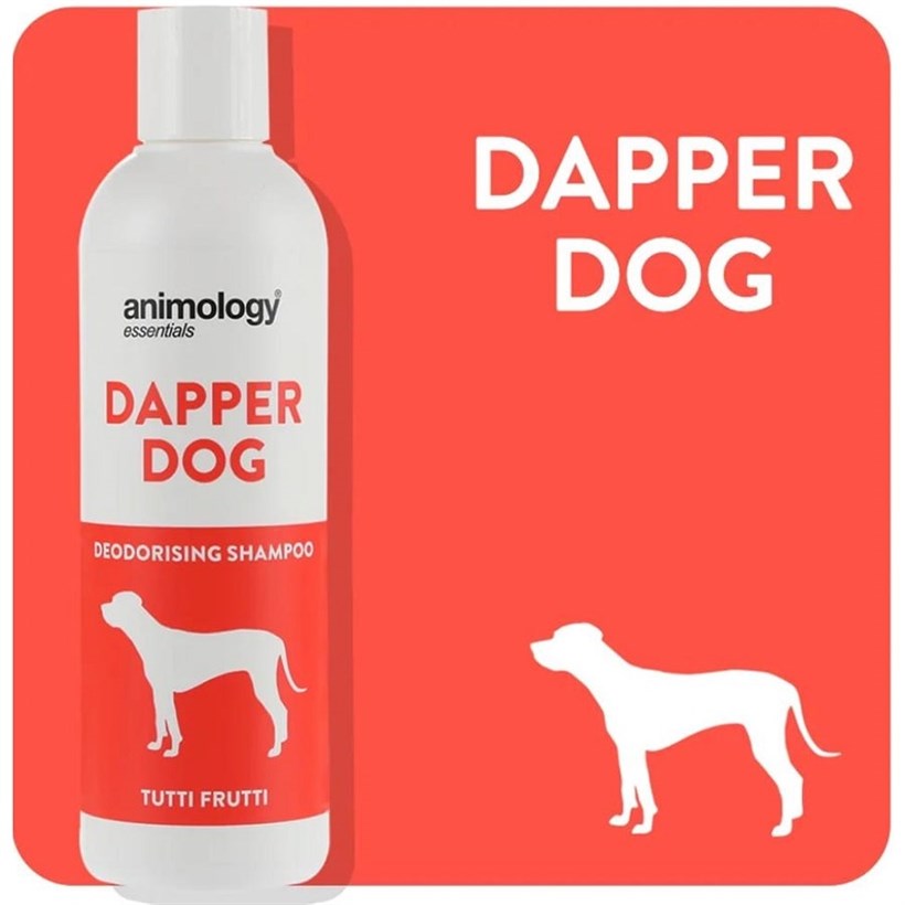 Animology Essentials Dapper Dog Koku Giderici Köpek Şampuanı 250 Ml