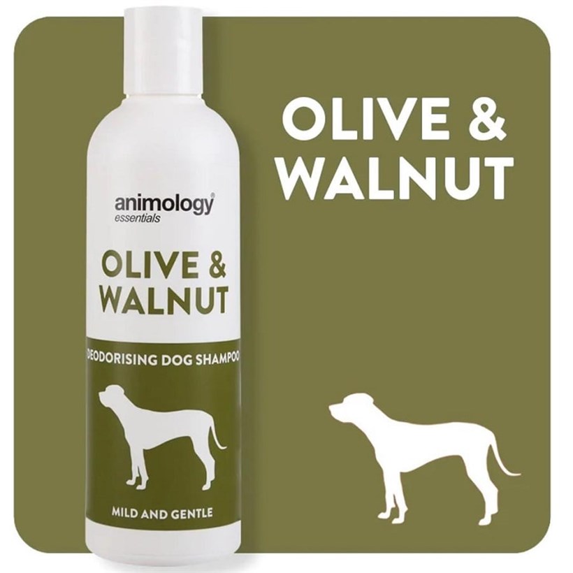 Animology Essentials Olive & Walnut Zeytin ve Ceviz Köpek Şampuanı 250 Ml