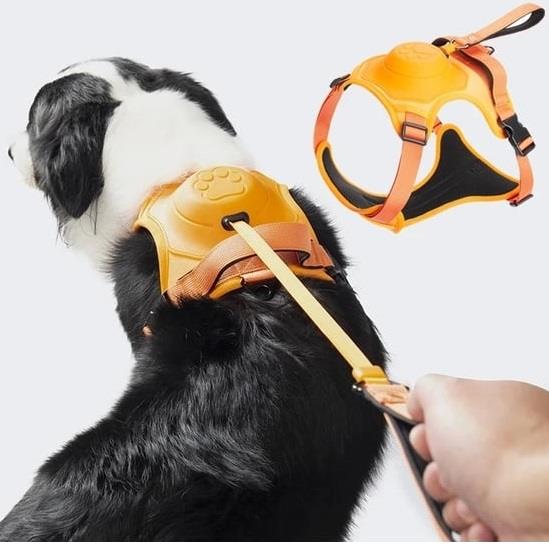 Buddy&Co Otomatik Gezdirmeli Göğüs Tasması Turuncu XLarge