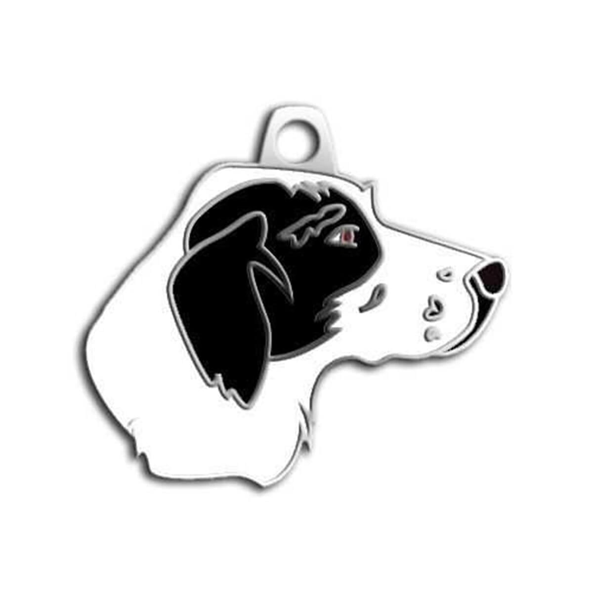 Dalis Pet Tag Pointer Köpek Künyesi Siyah-Beyaz