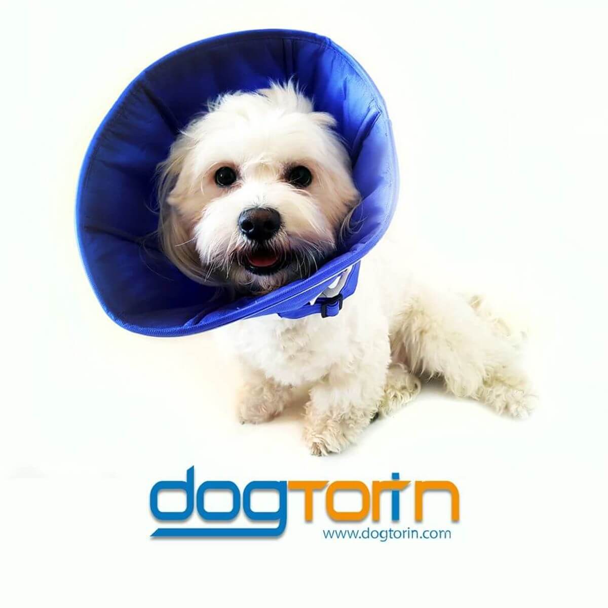 DogCatPlus Elizabeth Kumaş Yakalık Medium