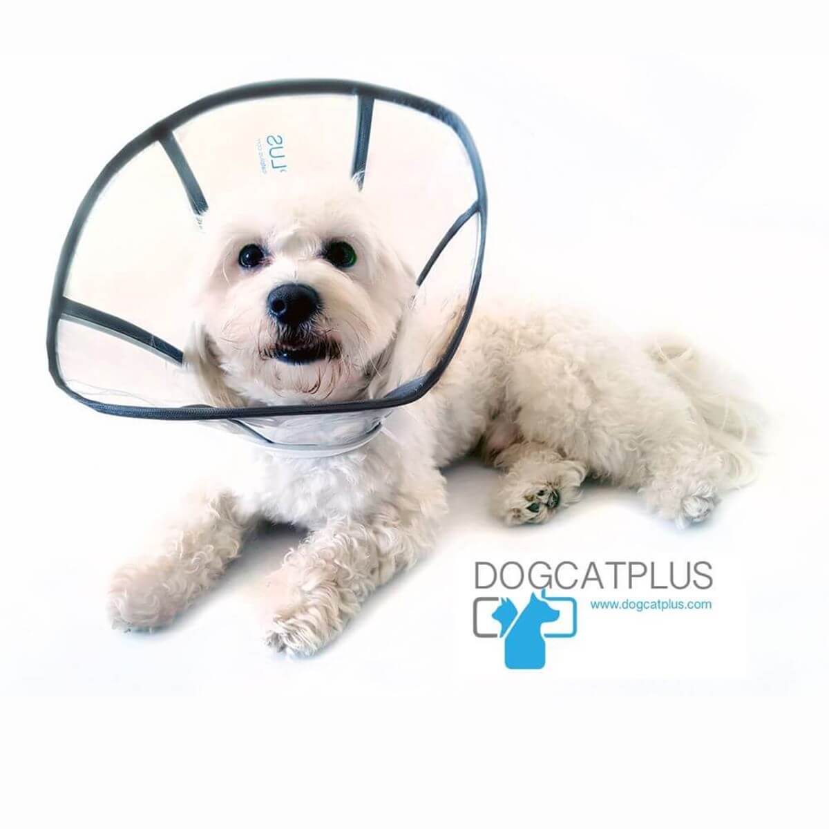 DogCatPlus Elizabeth Şeffaf Yakalık Medium