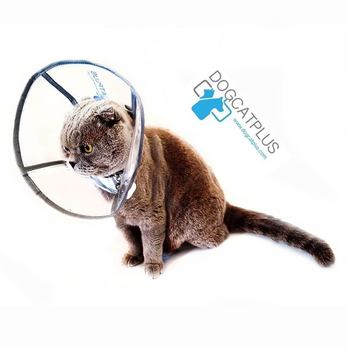 DogCatPlus Elizabeth Şeffaf Yakalık Small
