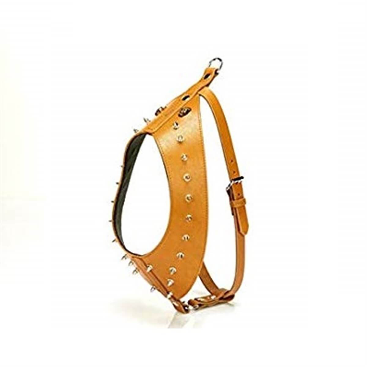Doggie Gladyatör Dikenli Göğüs Tasması XL 3 x 55 - 85 cm Camel