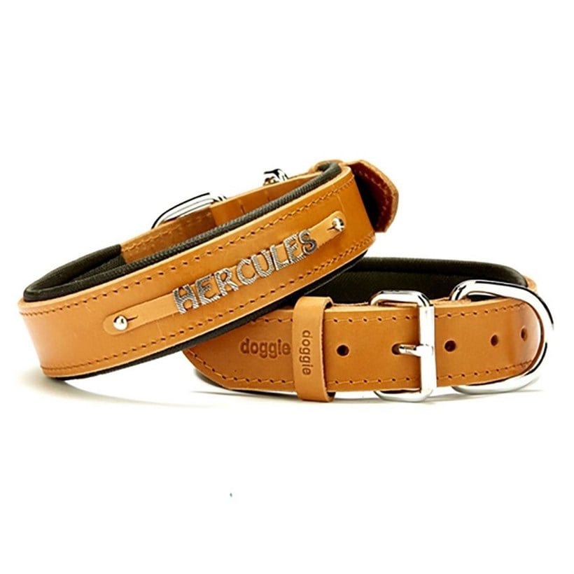 Doggie İsimlikli Deri Köpek Boyun Tasması Medium – Camel (3,5 x 47–55 Cm)