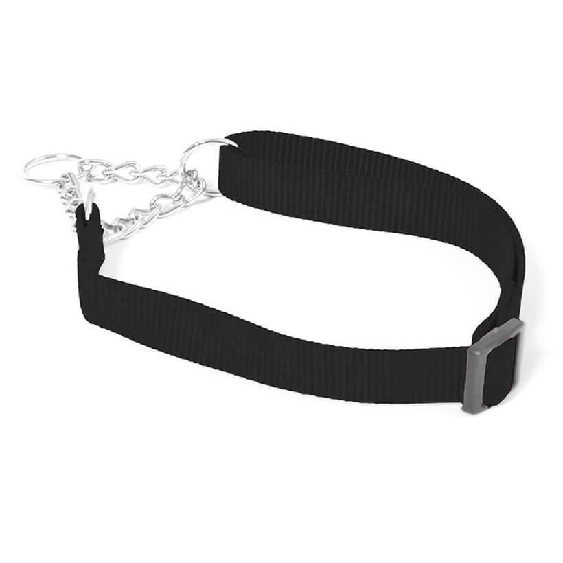 Duvo+ Köpek Eğitim Boyun Tasması 35-55 Cm / 20 Mm