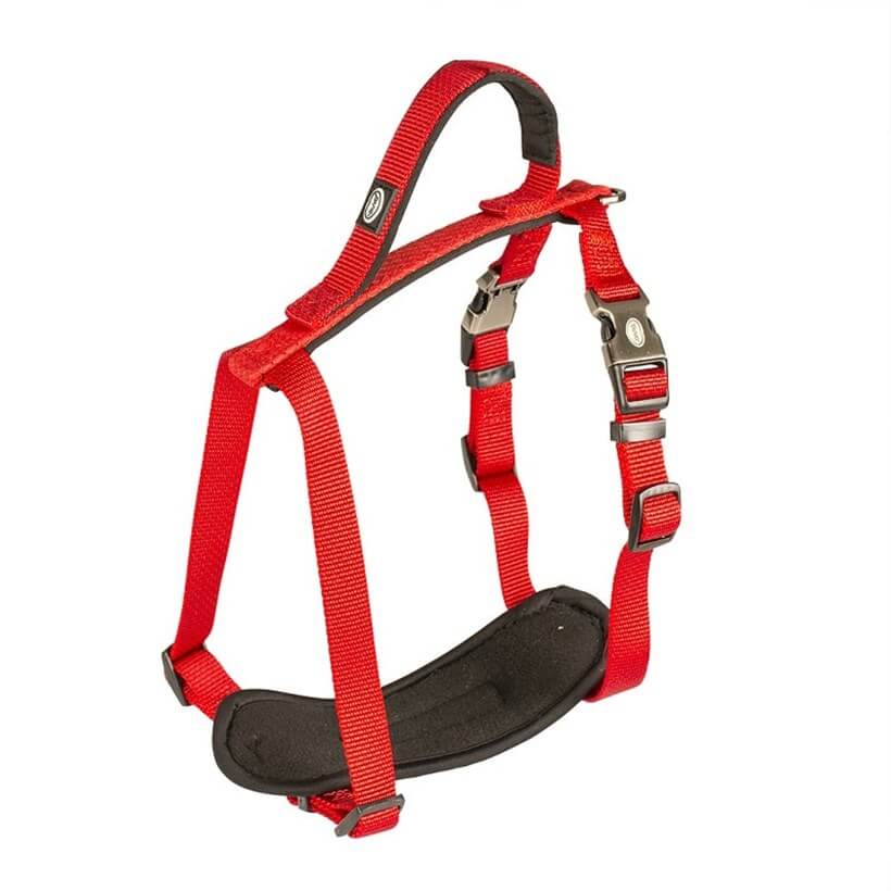 Duvo+ Köpek Göğüs Tasması Kırmızı 40-50 Cm / 15 Mm