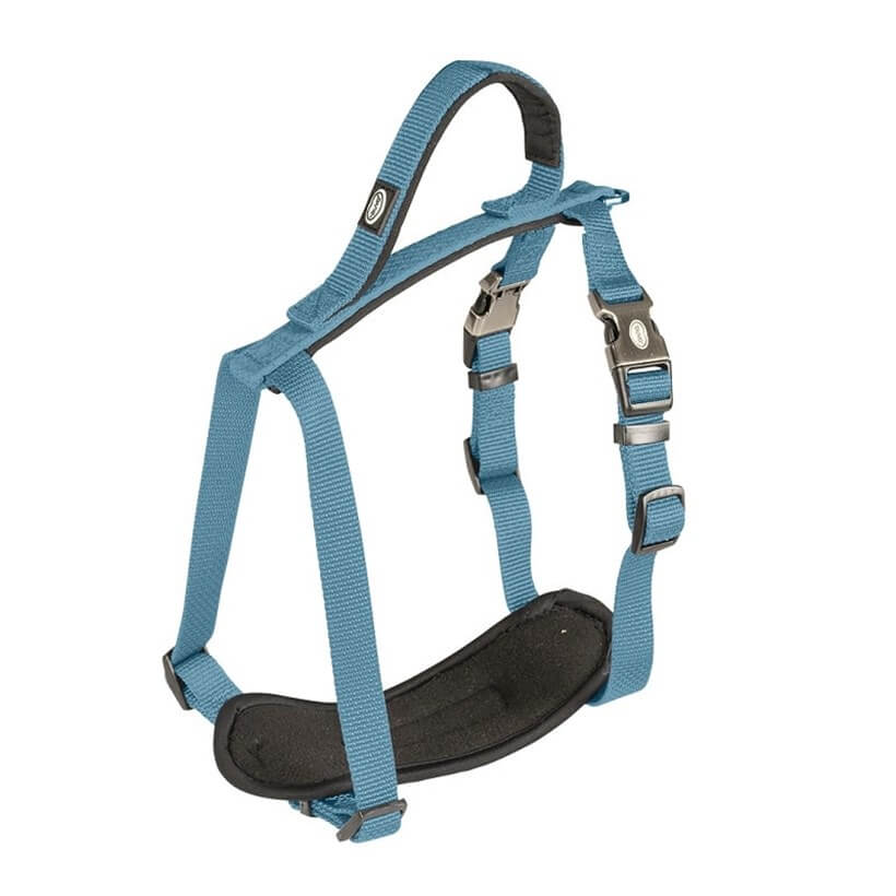 Duvo+ Köpek Göğüs Tasması Petrol 50-65 Cm / 20 Mm