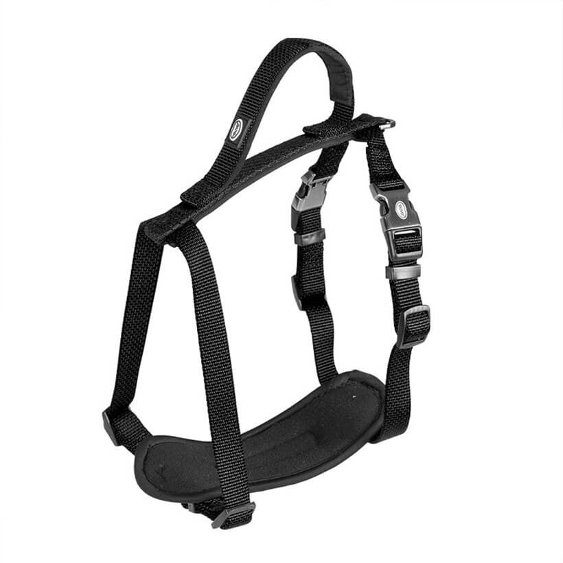 Duvo+ Köpek Göğüs Tasması Siyah 65-80 Cm / 25 Mm