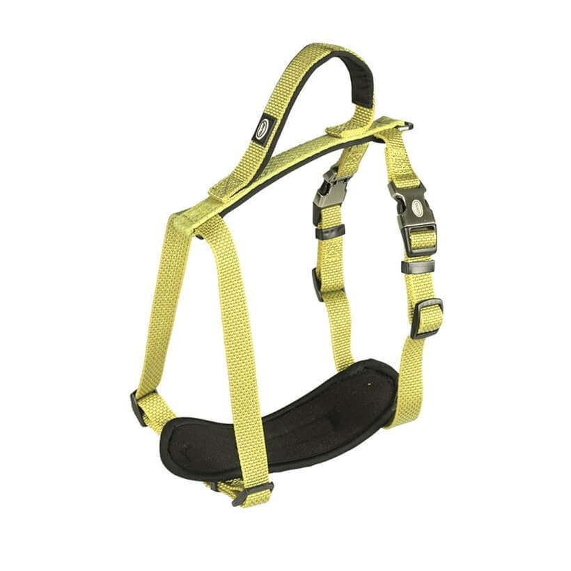 Duvo+ Neon Köpek Göğüs Tasması Sarı 50-65 Cm / 20 Mm