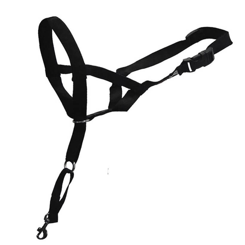 Duvo+ Yürüyüş Kontrol Köpek Eğitim Tasması 48 Cm