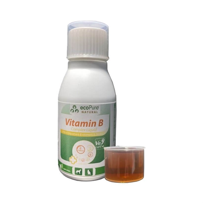 Ecopure Kedi ve Köpekler İçin Vitamin B Complex 100 Ml