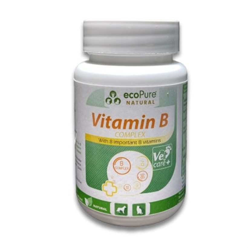 Ecopure Kedi ve Köpekler İçin Vitamin B Complex 40 Gr
