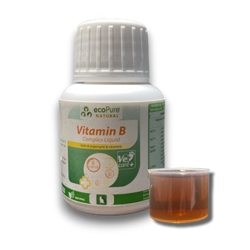 Ecopure Kediler İçin Vitamin B Complex 45 Ml