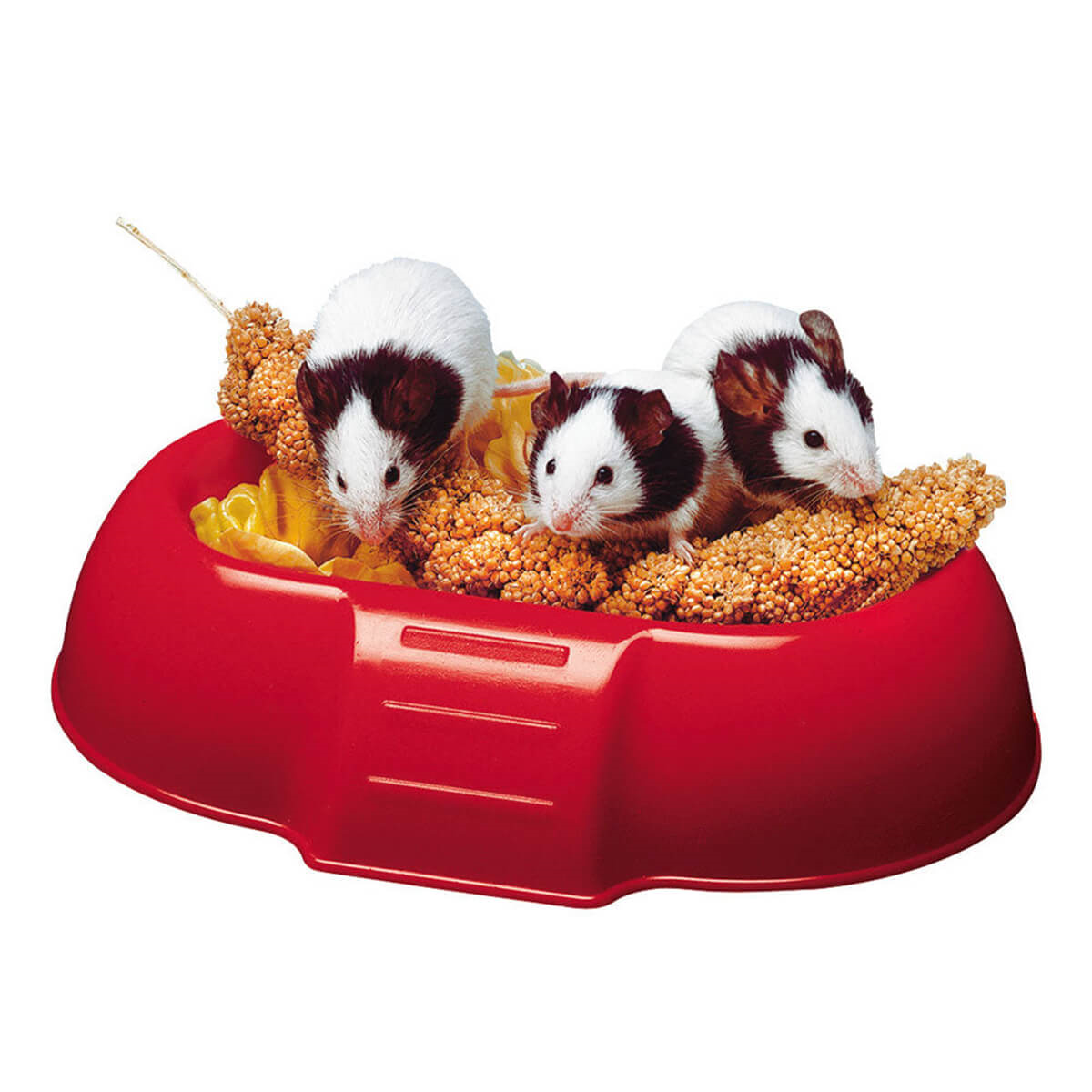 Ferplast DADA Hamster Yemliği 16 X 11 X 3 Cm