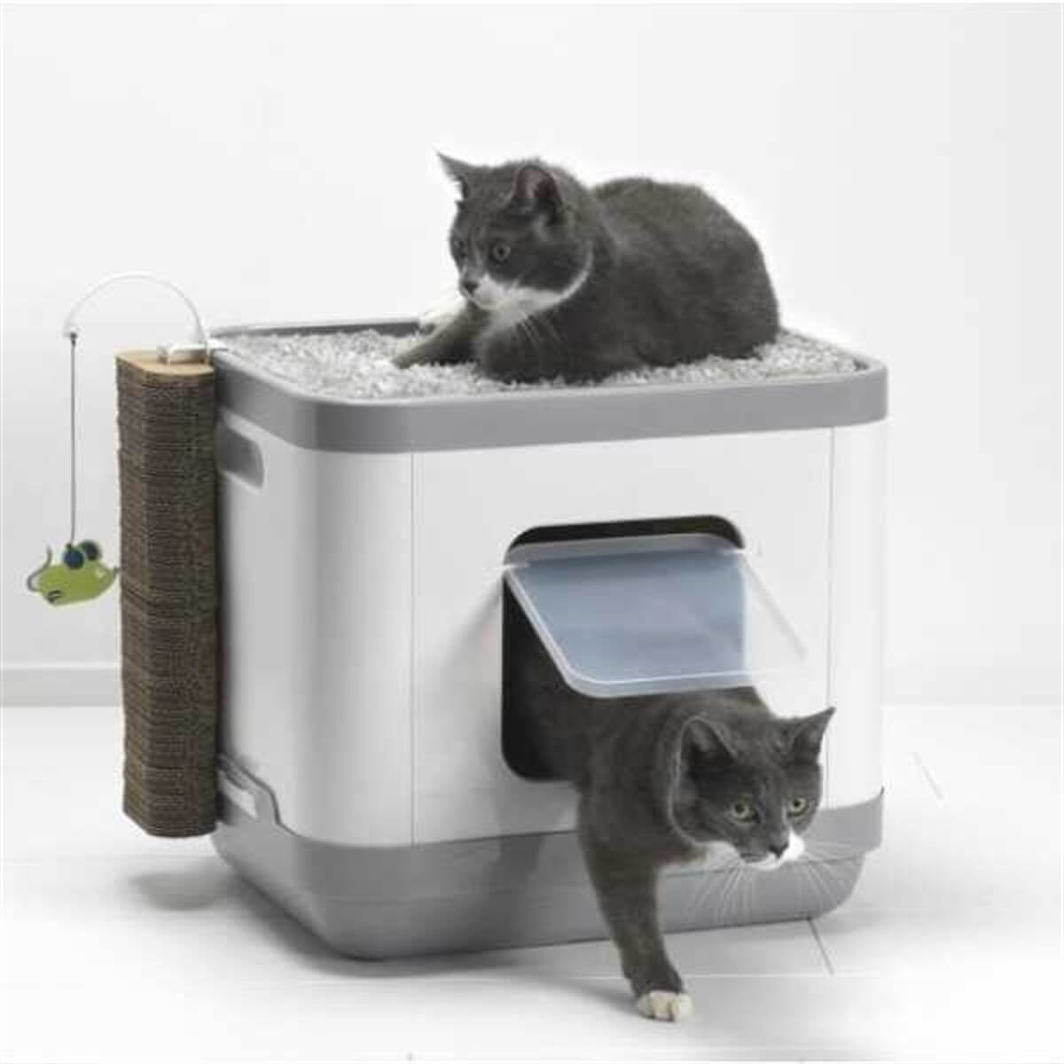 Moderna Cat Consept Kedi Tuvaleti | Hijyenik ve Pratik