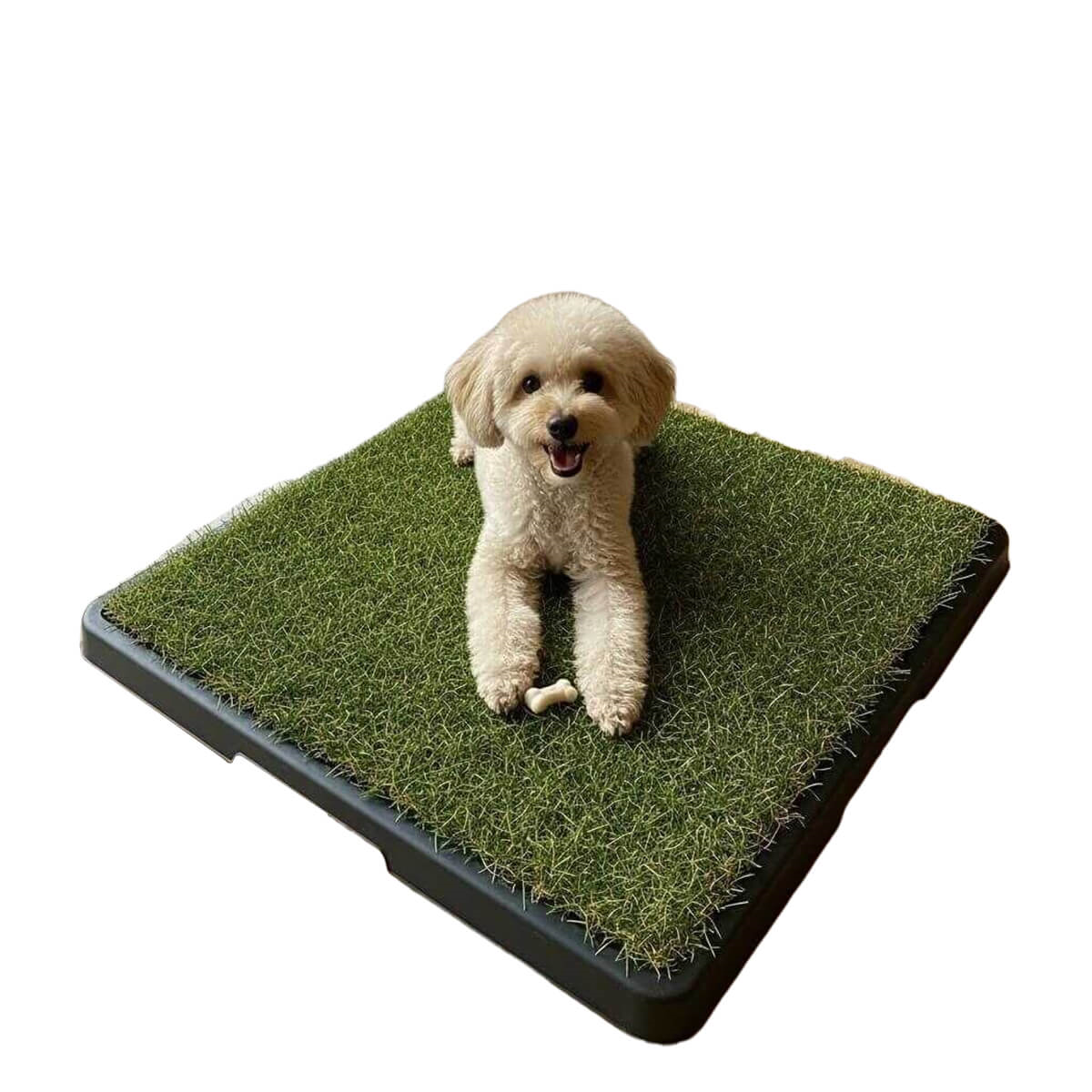 Pet Pretty Greenpee Köpek Tuvaleti Çimli Küçük 40x60