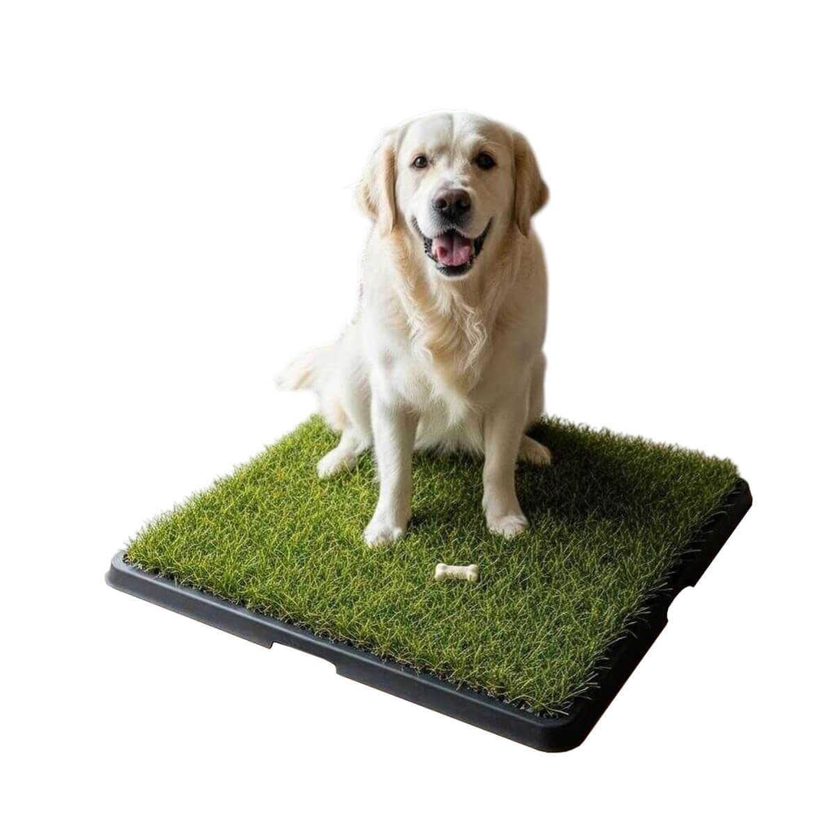 Pet Pretty Greenpee Köpek Tuvaleti Çimli Büyük 61x81