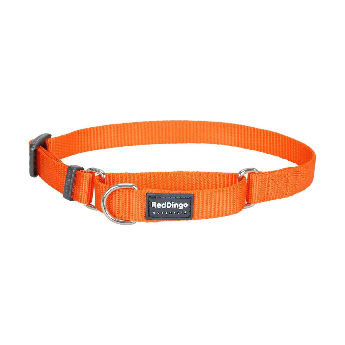 Reddingo Klasik Köpek Boyun Eğitim Tasması 25 Mm – 41-62 Cm – Large – Turuncu