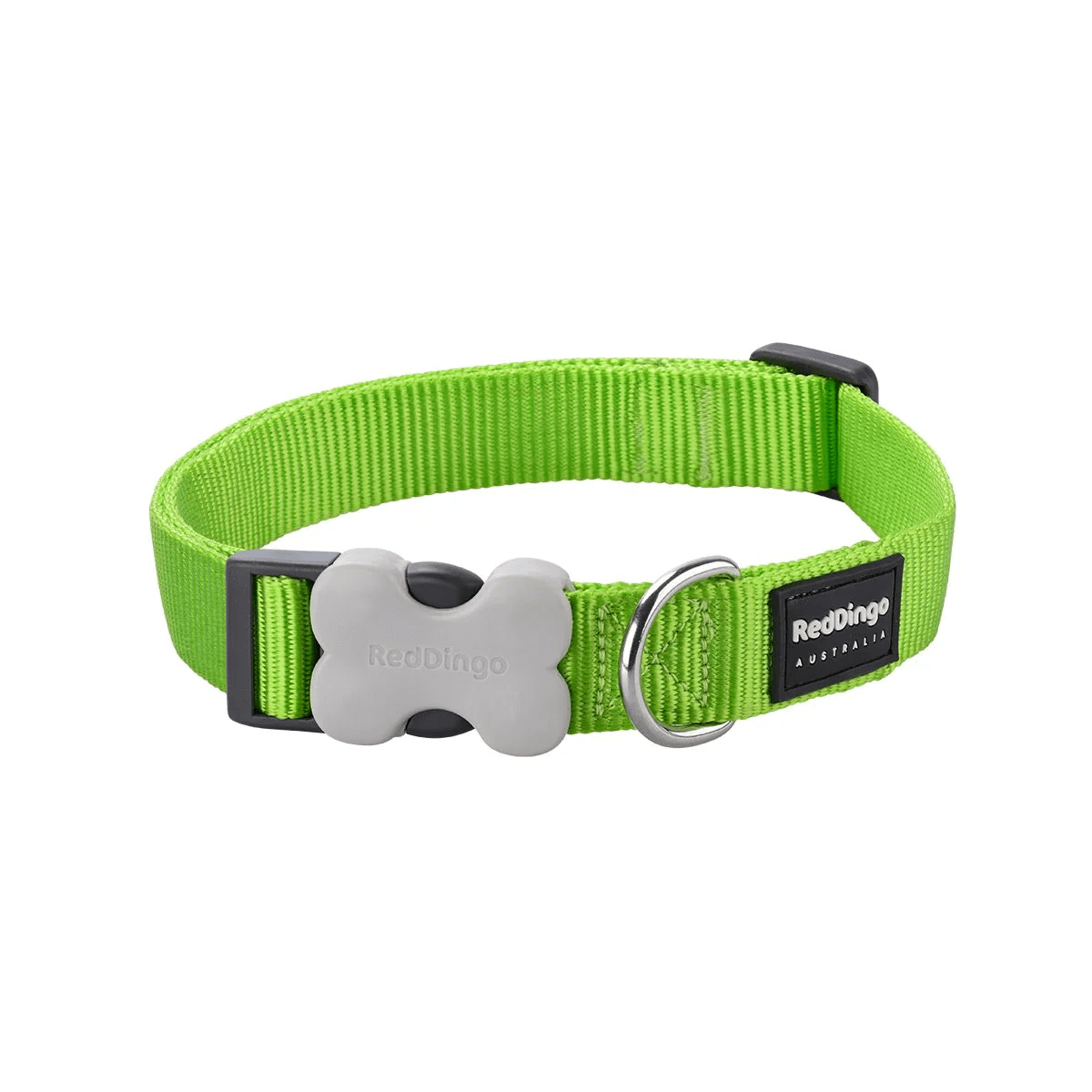 Reddingo Klasik Köpek Boyun Tasması 15 Mm – 24-36 Cm – Small – Lime