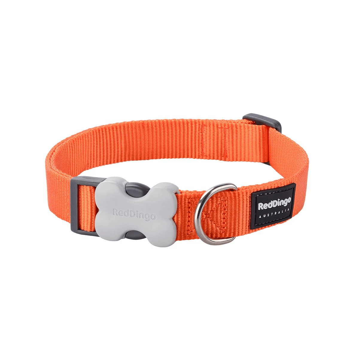 Reddingo Klasik Köpek Boyun Tasması 20 Mm – 31-47 Cm – Medium – Turuncu