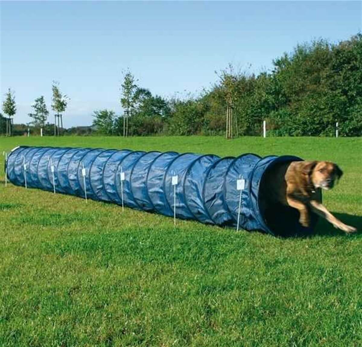 Trixie Agility Köpek Eğitim Tüneli
