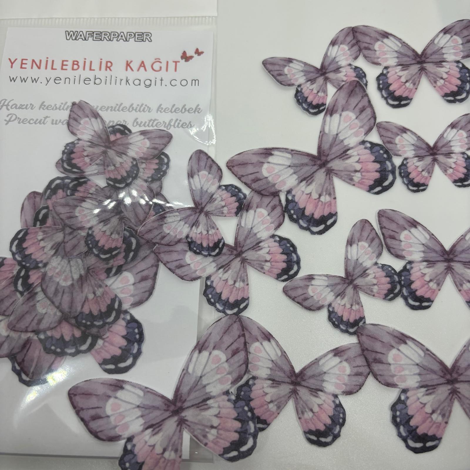 Yenilebilir Kelebek No:37