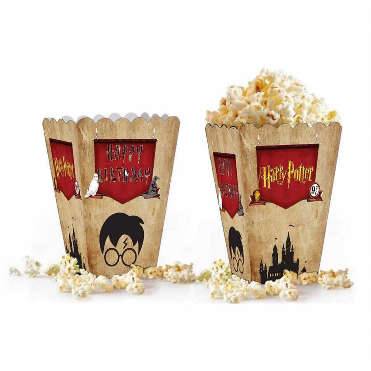 Mısır Kutusu Harry Potter Temalı  8'li