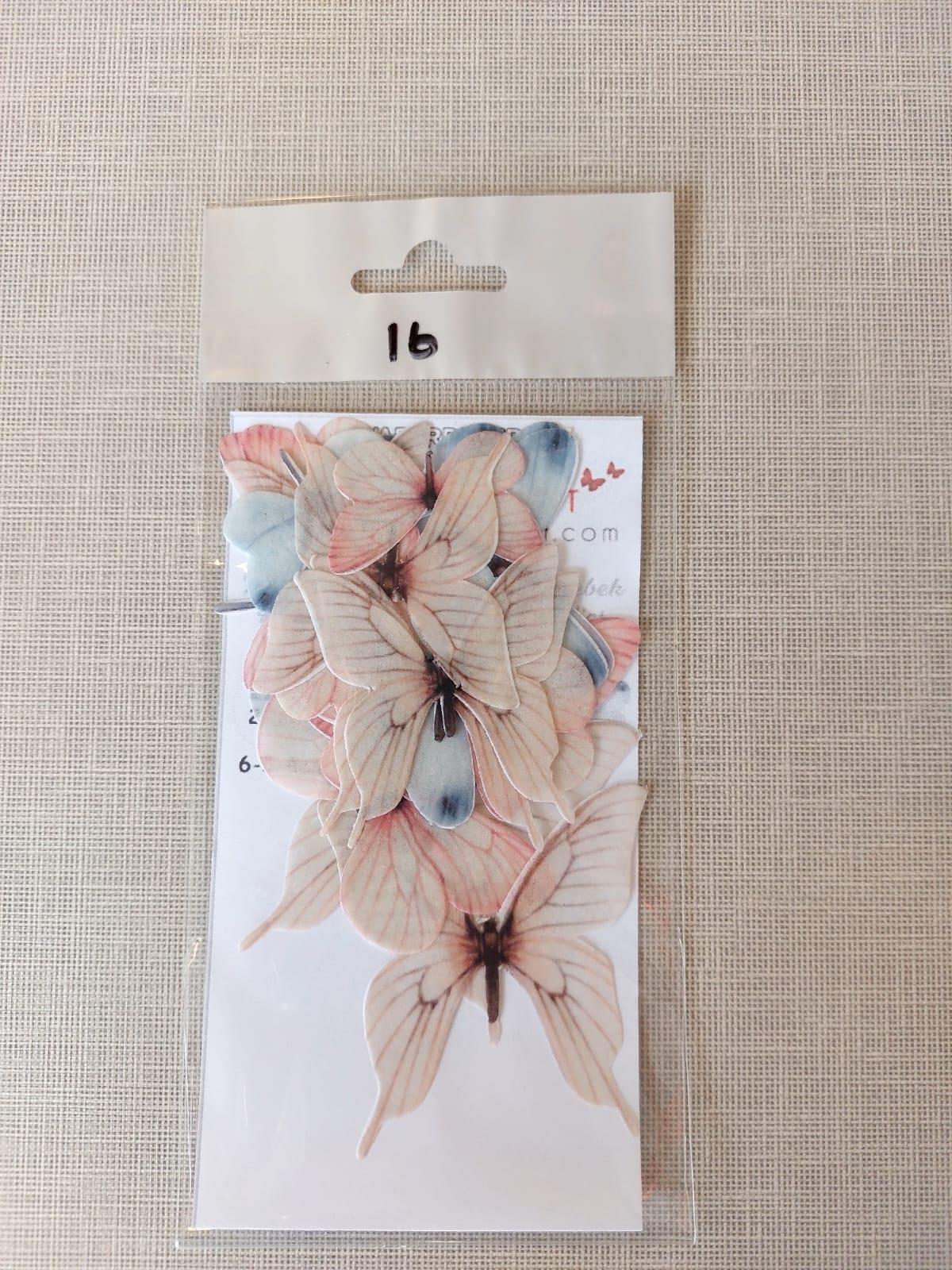 Yenilebilir Kelebek No:16