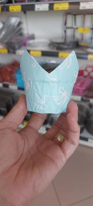 Lale Kapsül Mavi Desenli