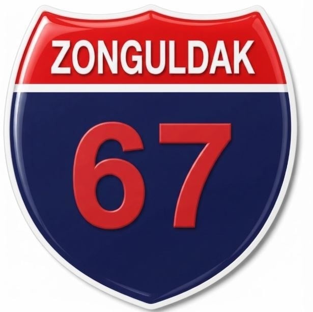 Redlinegrafik zonguldak 67plaka Kodlu 3D Kabartmalı Araç 1 Adet Sticker Etiket lacivert kırmızı Renk