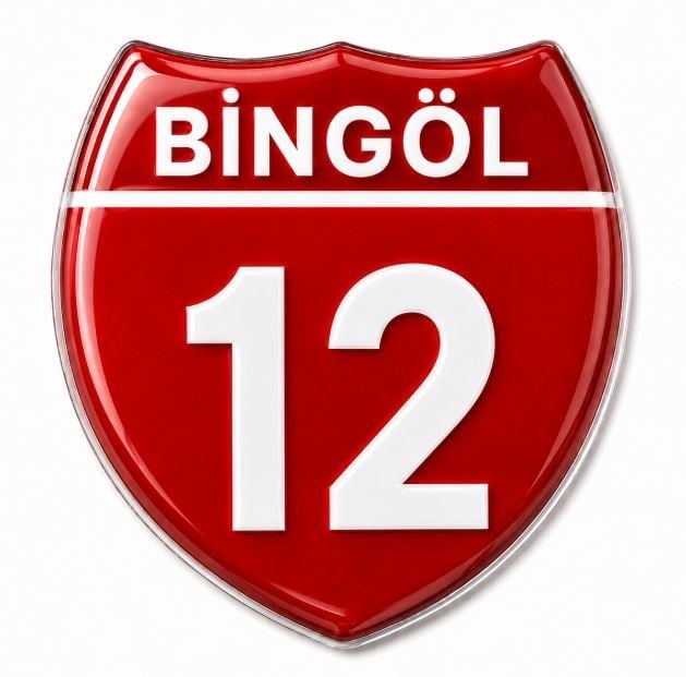 Redlinegrafik Bingöl 12 Plaka Kodlu 3D Kabartmalı Araç 1 Adet Sticker Etiket Kırmızı  Beyaz