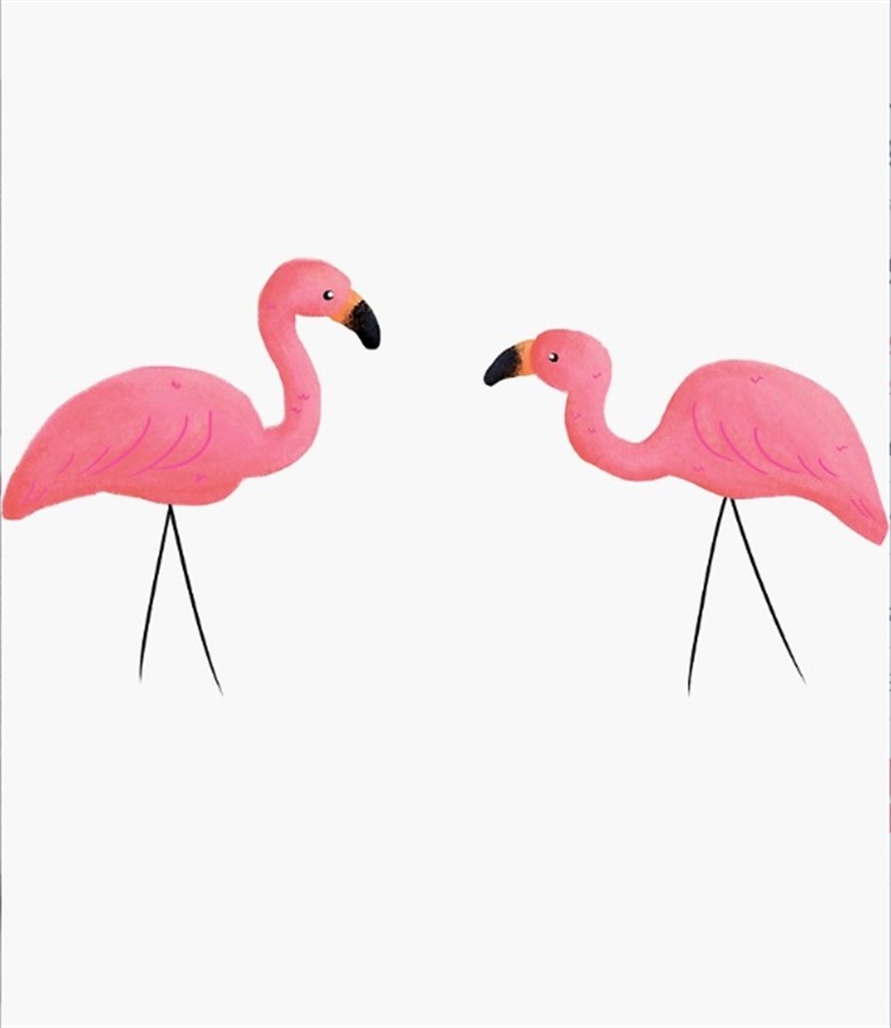Flamingo Sticker